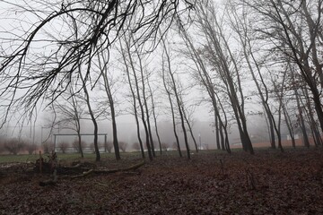 Obraz na płótnie Canvas Foggy morning in the city park