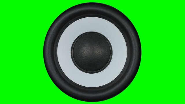 Black bass woofer  chromakey isolated. Modern speacker loud sound. Slow motion footage.
