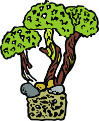 Tree with mushrooms. Plant cetraria. 