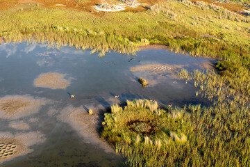 Aerial view to wild nature of Delta Okavango in Botswana.