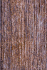 texture of wood