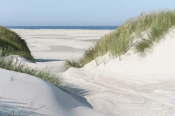 Selbstklebende Fototapeten Dünenlandschaft an der Nordseeküste © ThomBal