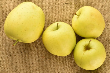 Several delicious yellow apples, close-up, on a jute fabric.