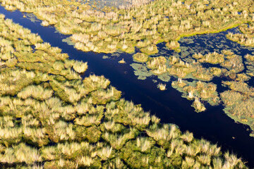 Aerial view to wild nature of Delta Okavango in Botswana.