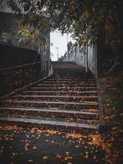 Escalera al infinito 