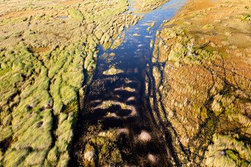 Aerial view to wild nature of Delta Okavango in Botswana.