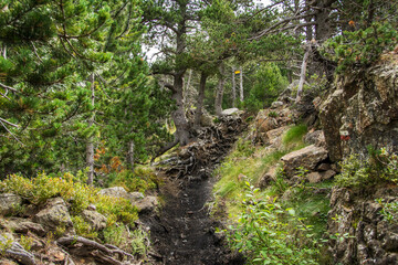 Paisaje alpino con ríos y montañas en el valle de Benasque. Pirineo Aragonés