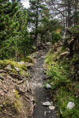 Paisaje alpino con ríos y montañas en el valle de Benasque. Pirineo Aragonés