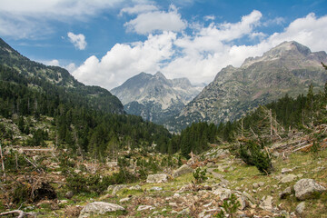 Paisaje alpino con ríos y montañas en el valle de Benasque. Pirineo Aragonés