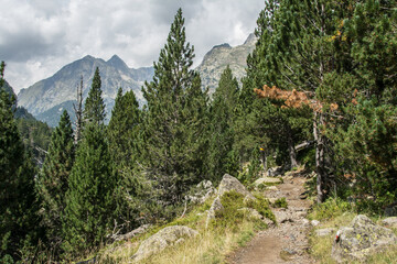 Fototapeta na wymiar Paisaje alpino con ríos y montañas en el valle de Benasque. Pirineo Aragonés