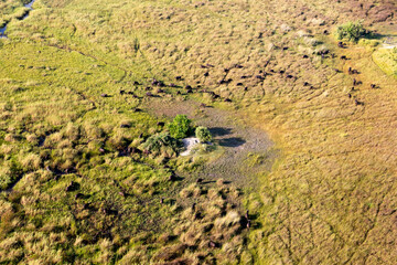 Aerial view to wild nature of Delta Okavango in Botswana.