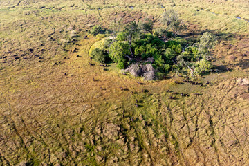 Aerial view to wild nature of Delta Okavango in Botswana.