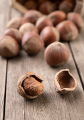 A group of hazelnuts in narrow focus over wooden table