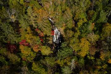 waterfall in the forest