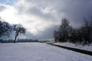 Obraz premium winter landscape and trees covered with snow