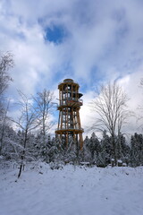 wooden lookout tower in the forest