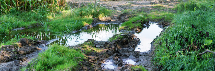 Fototapeta na wymiar Large water puddle on rural road in springtime