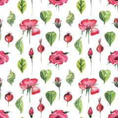Watercolor seamless pattern with rosehip plant. Leaves, twigs, flowers and buds