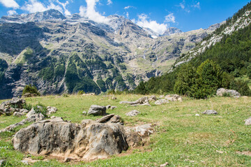 Paisaje alpino y boques de abetos y hayas en el valle de la Pineta. Pirineo aragonés. Bielsa