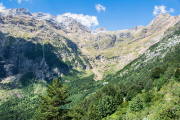 Fototapeta na wymiar Paisaje alpino y boques de abetos y hayas en el valle de la Pineta. Pirineo aragonés. Bielsa