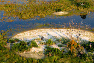 Aerial view to wild nature of Delta Okavango in Botswana.