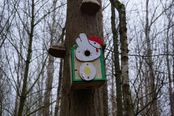 Ein außergewöhnliches Vogelhaus an einem Baum im Wald