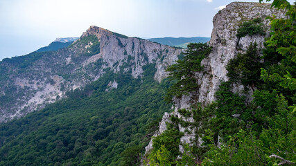 A view of the rocky peaks covered with dense forest from one of the plateaus of the Crimean mountains.