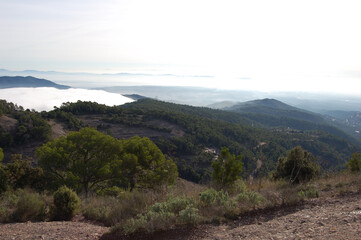 Fototapeta premium Panorama of the forests and mountains of La Mola, in Catalonia, in the province of Barcelona (Spain). Next to Montserrat. Catalonia, El Vallès 