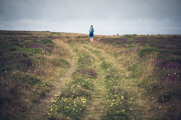 Lady walking in the heather moorland 