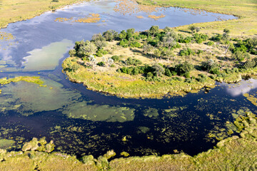 Fototapeta na wymiar Aerial view to wild nature of Delta Okavango in Botswana.