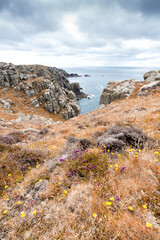 arounds porthgwarra and porthcurno on the coast path cornwall England uk 