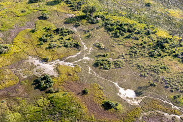 Aerial view to wild nature of Delta Okavango in Botswana.