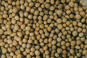 macro detail of Caribbean spices. suitable for texture