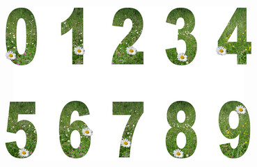 Flower collage. Numbers 0 to 9 from grass and flowers on a white background.