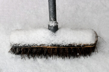 Old Snow Covered Broom in Winter