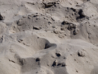 Sand on the beach of the Baltic Sea.