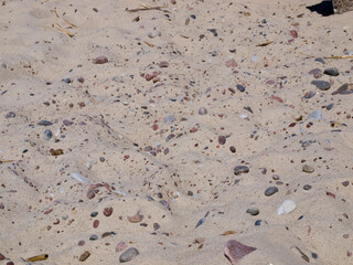 Stones on the sand of the beach.