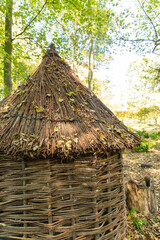 straw hut in the forest when willow.