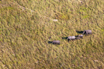 Aerial view to wild nature of Delta Okavango in Botswana.