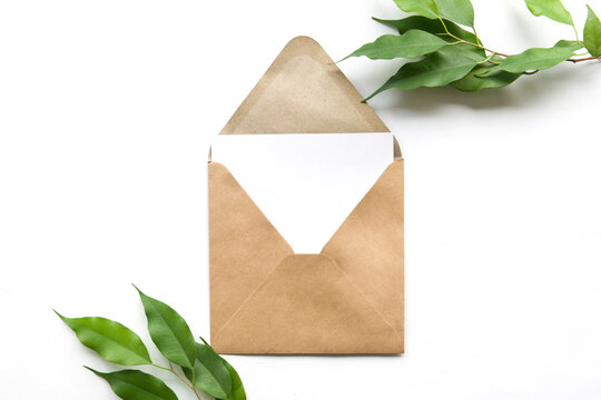 Brown grey develope with white card with space for text. Postcard, greeting or invitation card.