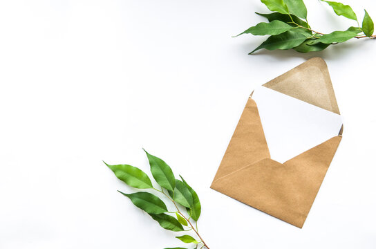 Brown grey develope with white card with space for text. Postcard, greeting or invitation card.