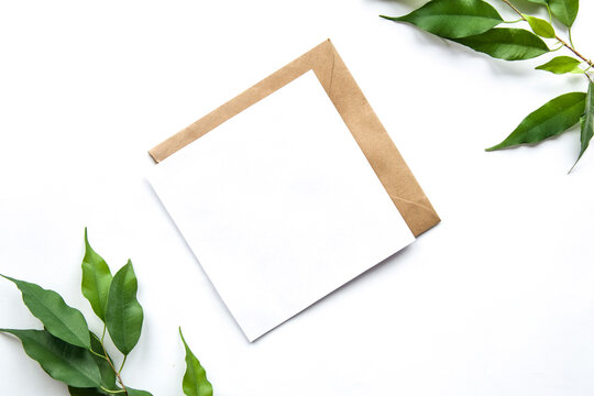Brown grey develope with white card with space for text. Postcard, greeting or invitation card.