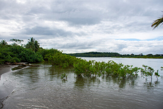lago, acu&aacute;tico, naturaleza, cielo, paisaje, r&iacute;o, nube, verano, azul, nube, verde, &aacute;rbol, bosque, charcas, c&eacute;sped, &aacute;rbol, impresiones, hermoso, beldad, al aire libre, calma, calmada, costa