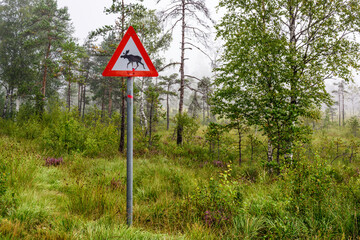 Traffic Sign Attention Moose, Norway