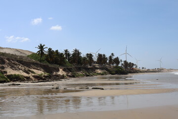 a beach, some trees and a wind farm 