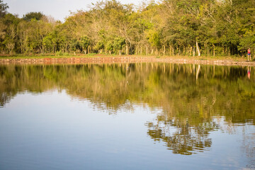 Fototapeta na wymiar Beautiful lake with calm waters reflecting around trees bordering the lake
