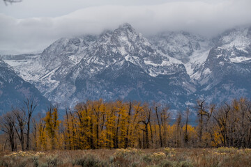 Autumn In The Mountains