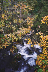 waterfall in autumn forest by sagelven river, toten, norway