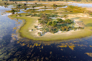 Aerial view to wild nature of Delta Okavango in Botswana.
