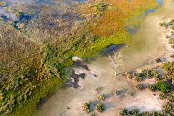 Aerial view to wild nature of Delta Okavango in Botswana.